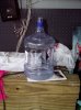 fluid bottle.jpg