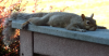 upload_2019-3-3_23-8-59.png