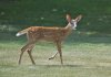 DSC_2860.jpg
