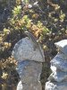 DSCN0745.jpg