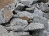 DSCN2085.jpg