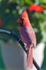 DSC_1343.jpg