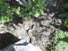 DSCN2176.jpg