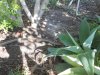 DSCN2177.jpg