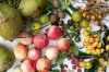 _CMY6081_Harvest-sm.jpg