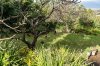 _CMY7560_chickens-sm.jpg