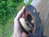 DSC01143.JPG