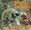 upload_2019-3-22_12-58-42.jpeg