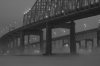 DSC_5409bw.jpg