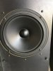 ACM woofer good.JPG