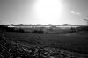 IMG_1600BW (Large).jpg