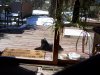 100_6190.JPG