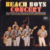 beach_boys_concert.JPG