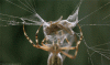 911A452B-26F1-4BC2-941F-4D7B176370CF.gif