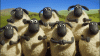 34F56D40-7174-4A65-86DE-5ED83E24E744.gif