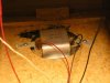 20100102 ADC 303a 2 exposed tweeter.jpg