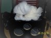 100_2305.JPG