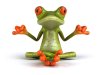 Zen Frog.jpg