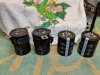 IMG_20180923_165137.jpg