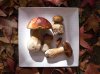 Porcini_P1240545-sm.jpg