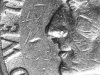 P4132512 - Copy.jpg