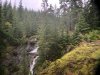 IMG_3592.JPG