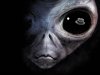 alien face - grey - So Long Ago So Clear - Hounslow London - Peter Crawford.jpg