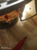 IMG_20190807_203131.jpg