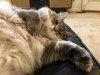 IMG_0740.jpeg