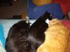 IMG_20191013_000954824.jpg
