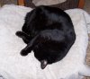 100_6370.JPG