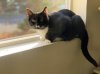 4AAB6234-382D-48E0-8700-4ECBFA2F0874.jpeg