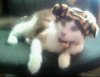 1569382210-picsay.jpg