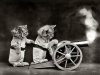cat tumblr_ofmtmlVNys1rwjpnyo1_540.jpg