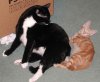 otto&boots.jpg