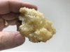 Pine resin.jpg