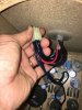 Molex.JPG