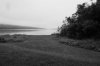 DSC00642 (Large).jpg