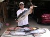 fish2.JPG