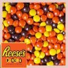 downloadfile-6.jpg