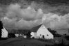 DSC01373.jpg