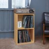 HD record shelf.jpg