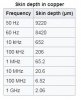 skin.JPG