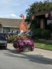 IMG_20190806_161728.jpg