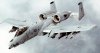 warthog.jpg