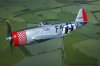 P-47.jpg