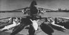 F-8D_armament_NAN9-63.jpg