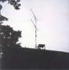 4408_stack_II_back.jpg