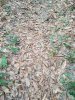 copperhead+camouflage.jpg