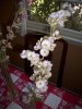upload_2020-4-29_20-52-12.jpeg